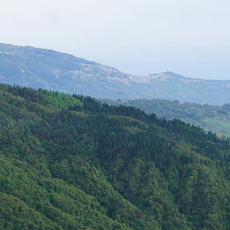 Tranquil Retreat Homestay Ghum 外观 照片