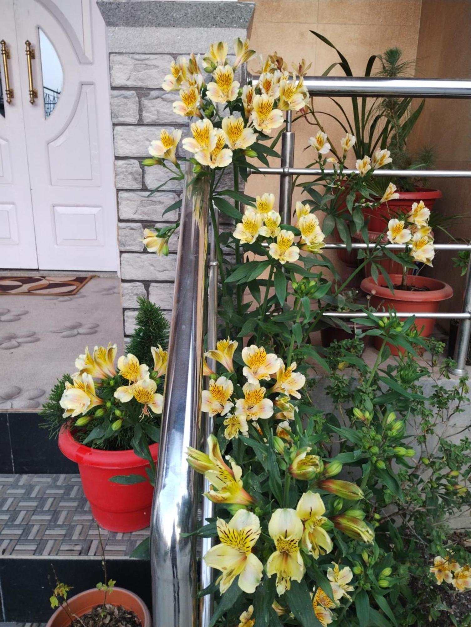 Tranquil Retreat Homestay Ghum 外观 照片