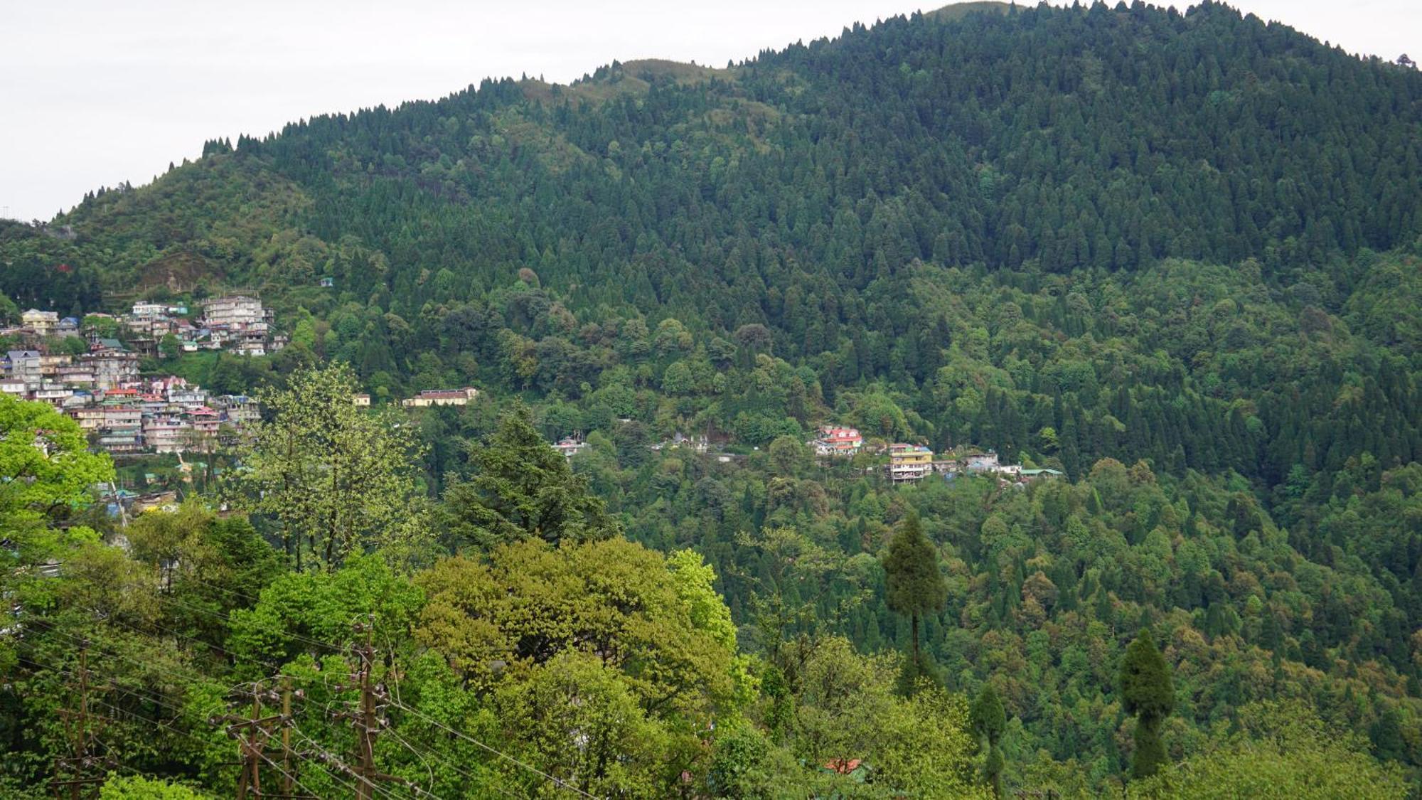 Tranquil Retreat Homestay Ghum 外观 照片
