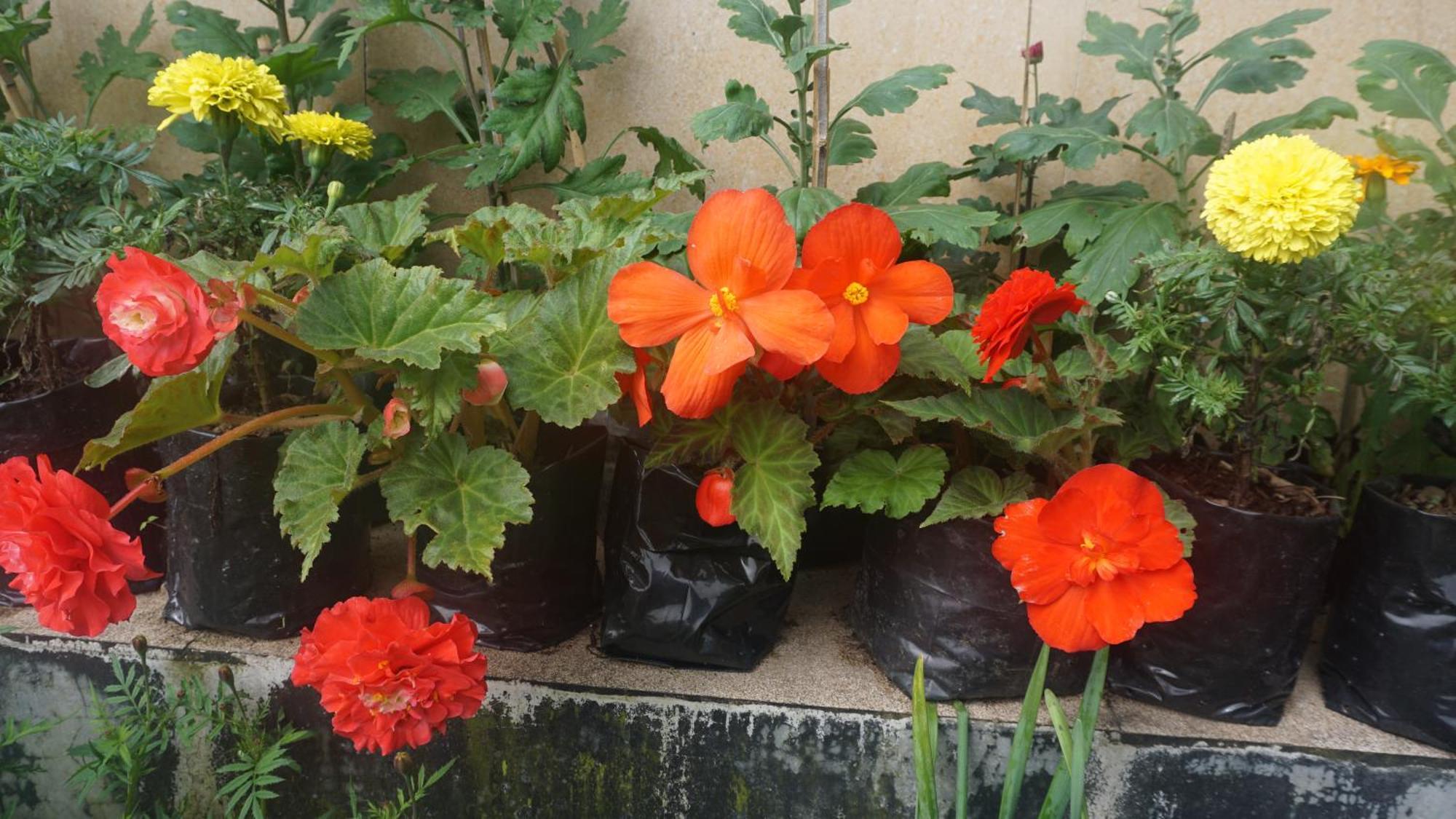 Tranquil Retreat Homestay Ghum 外观 照片
