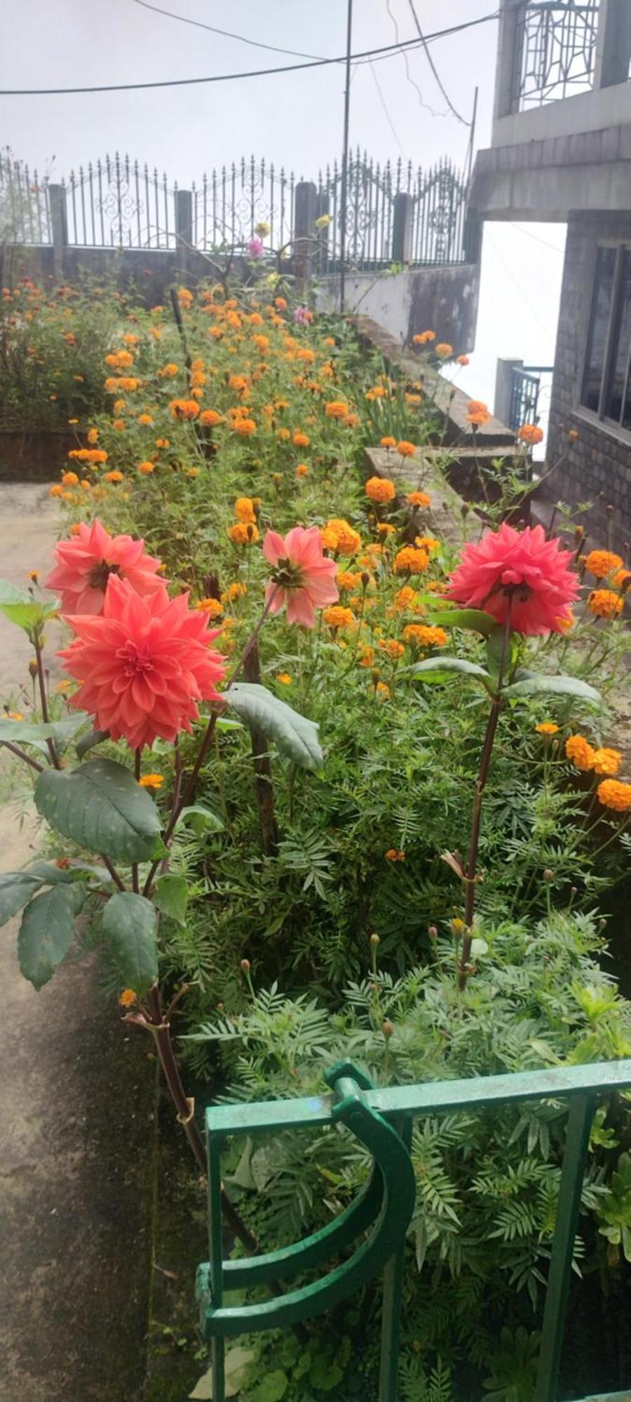 Tranquil Retreat Homestay Ghum 外观 照片
