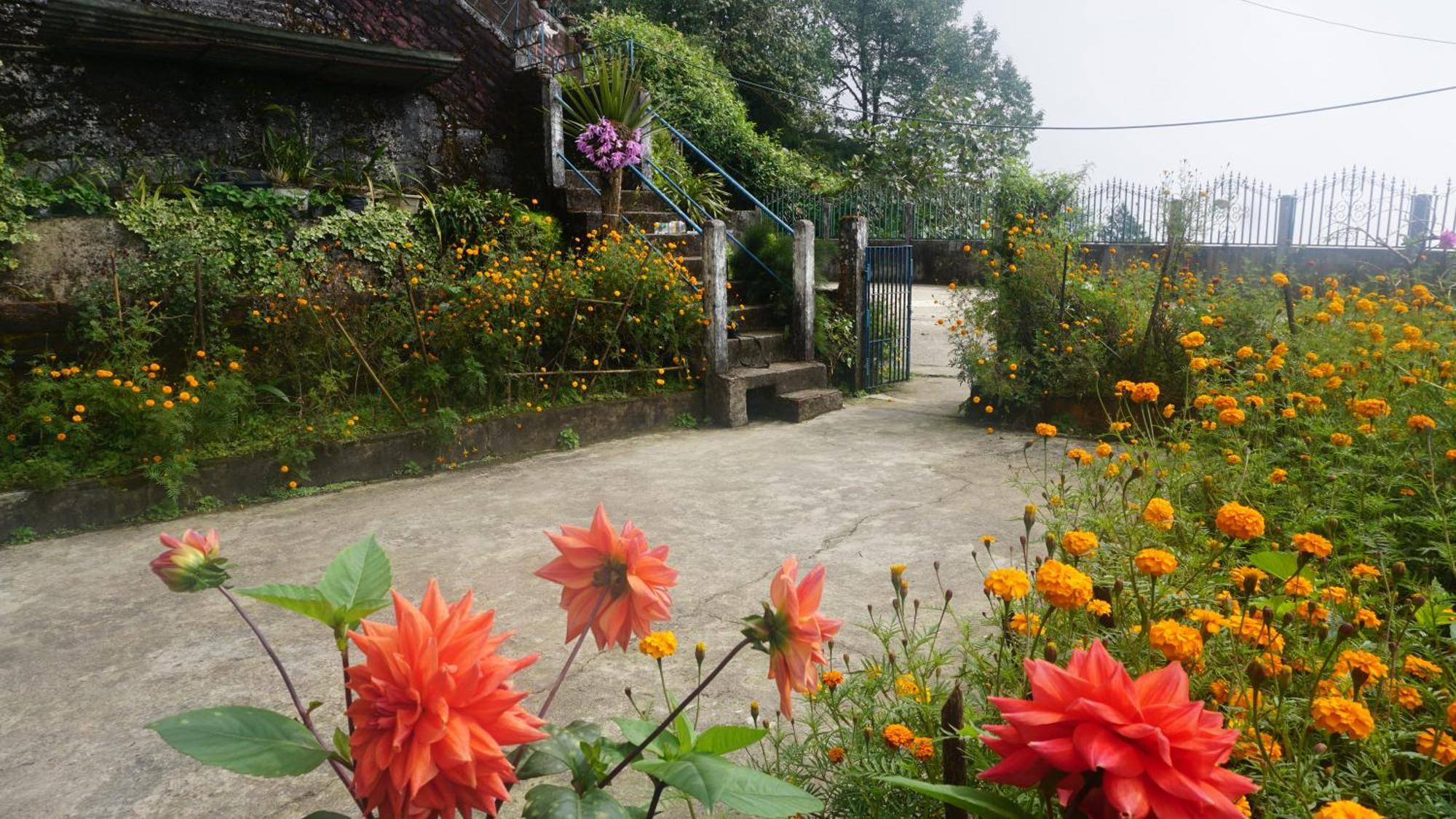 Tranquil Retreat Homestay Ghum 外观 照片