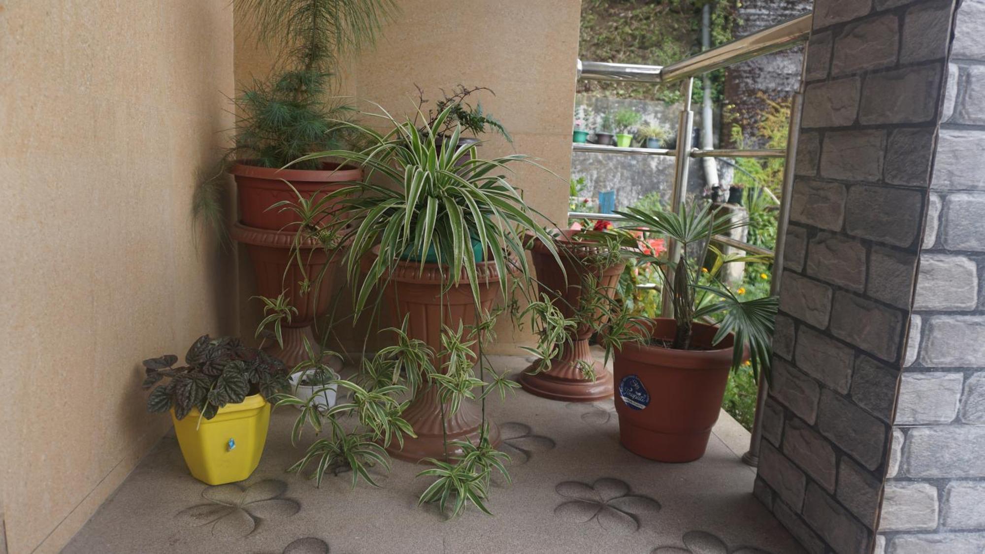Tranquil Retreat Homestay Ghum 外观 照片