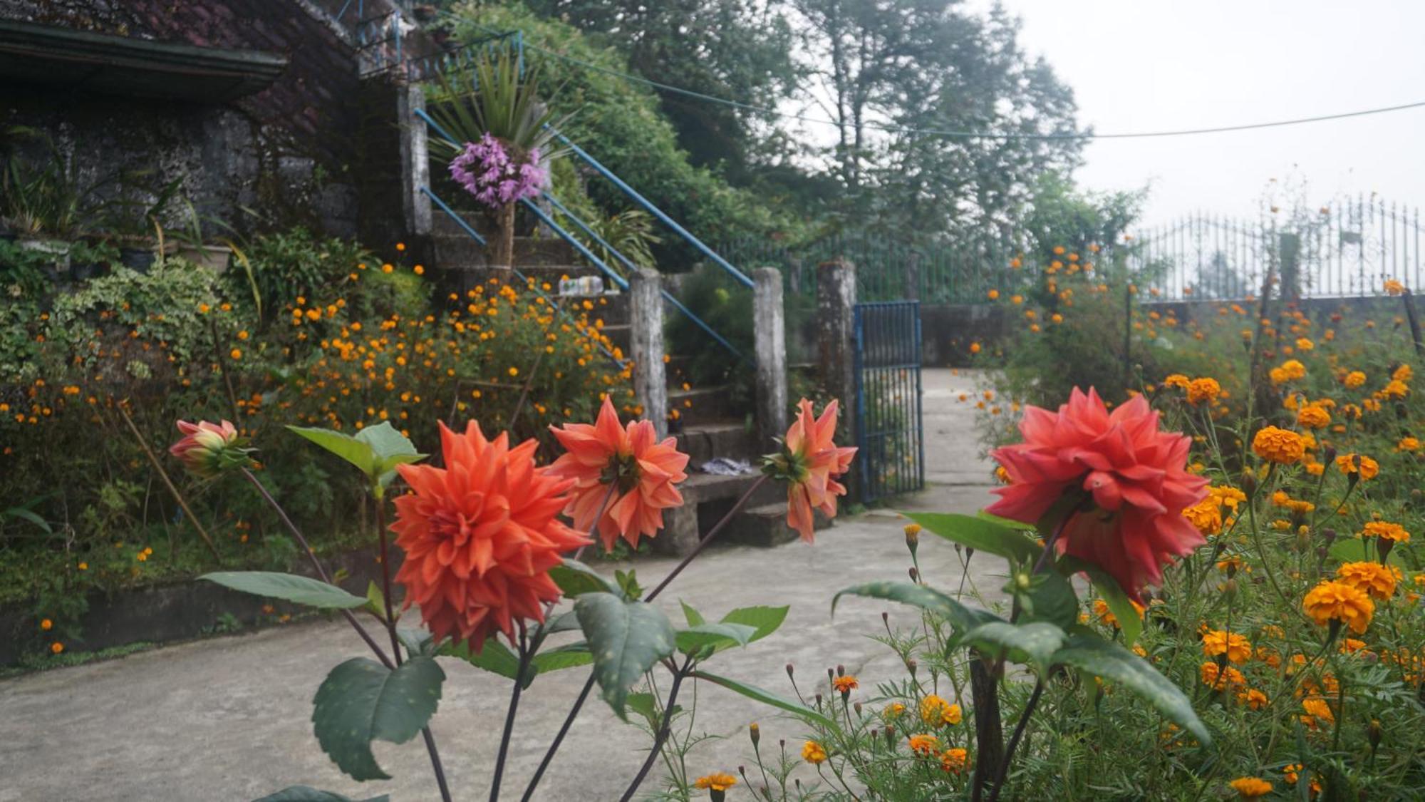 Tranquil Retreat Homestay Ghum 外观 照片